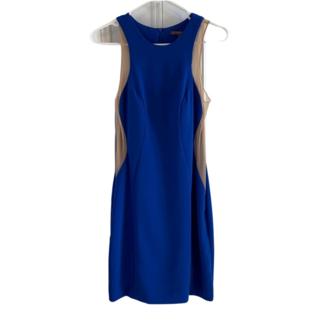 Sexy Issue New York fully lined dress w sheer side panels.